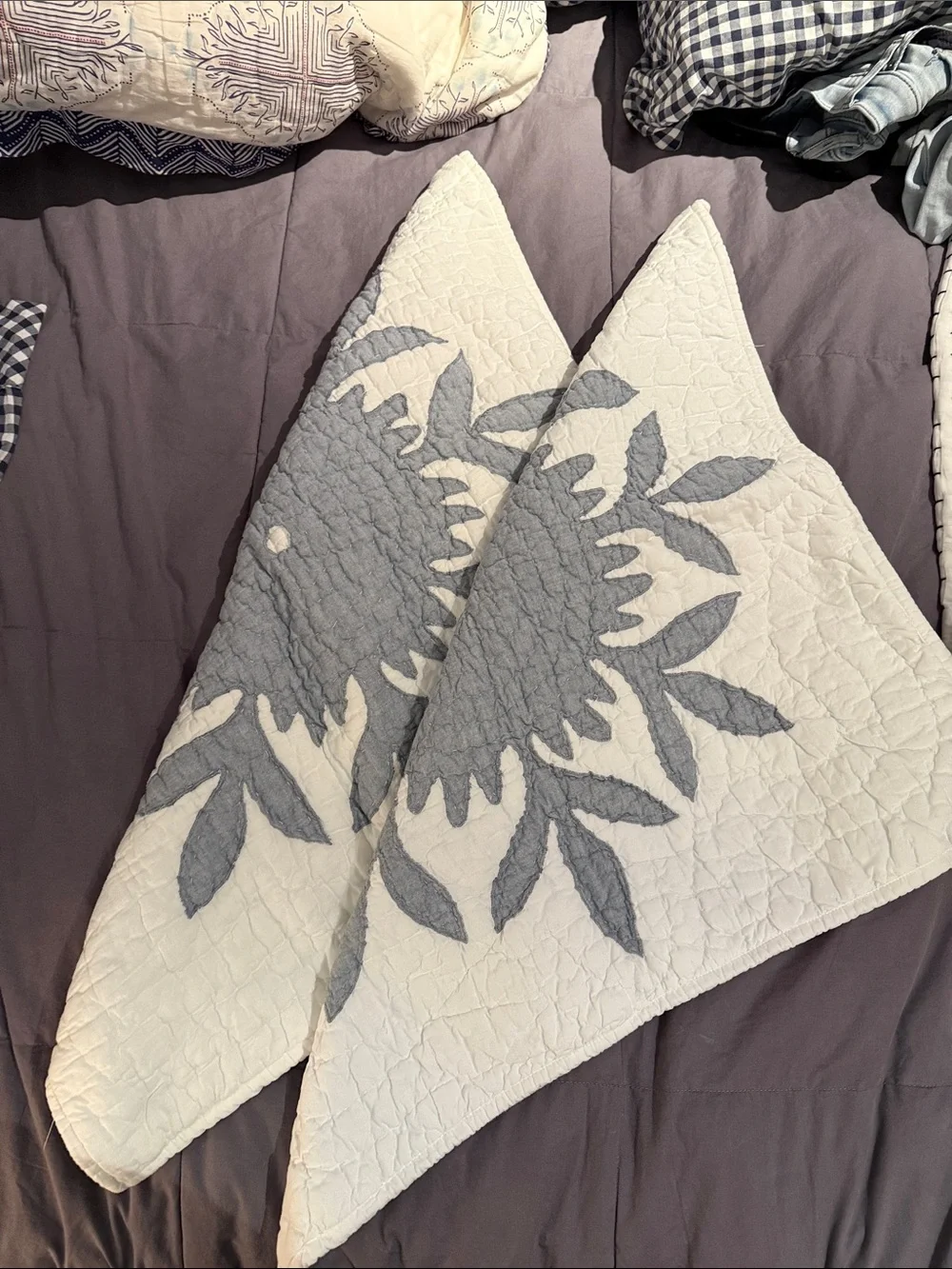 Pottery Barn Embroidered Shams